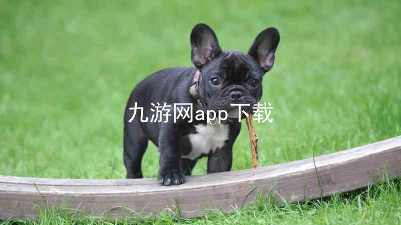 九游网app下载