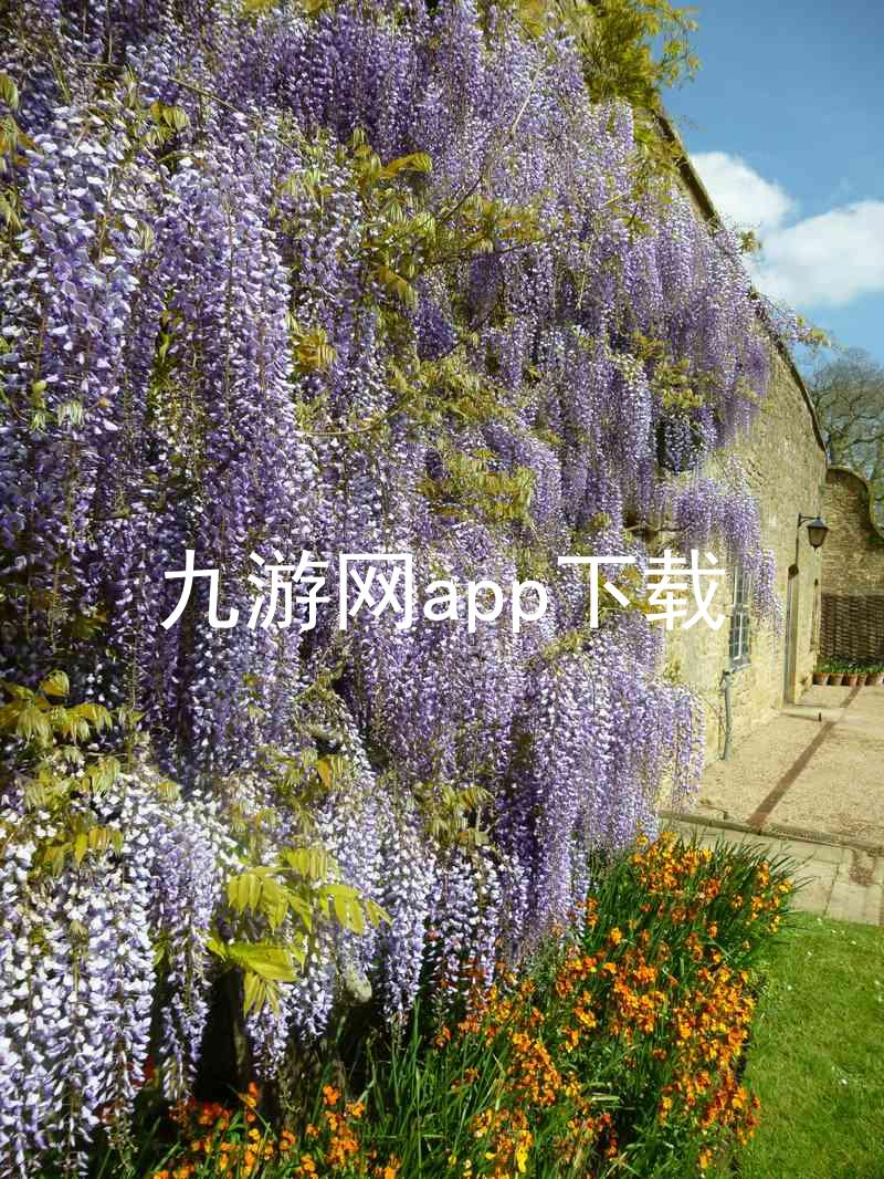 九游网app下载