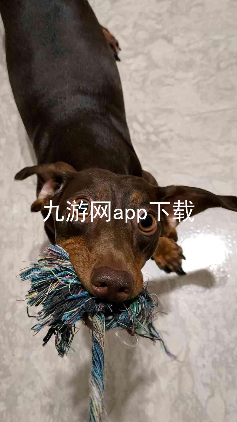 九游网app下载